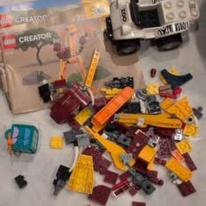 LEGO Small Baggy Assorted Pieces No Sets